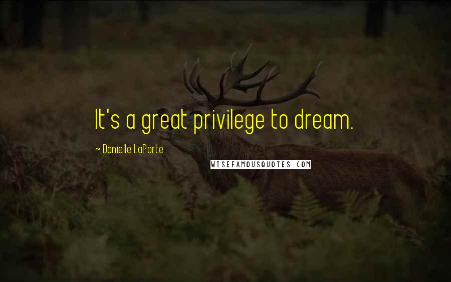 Danielle LaPorte quotes: It's a great privilege to dream.