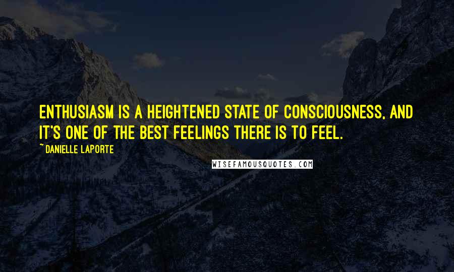 Danielle LaPorte quotes: Enthusiasm is a heightened state of consciousness, and it's one of the best feelings there is to feel.