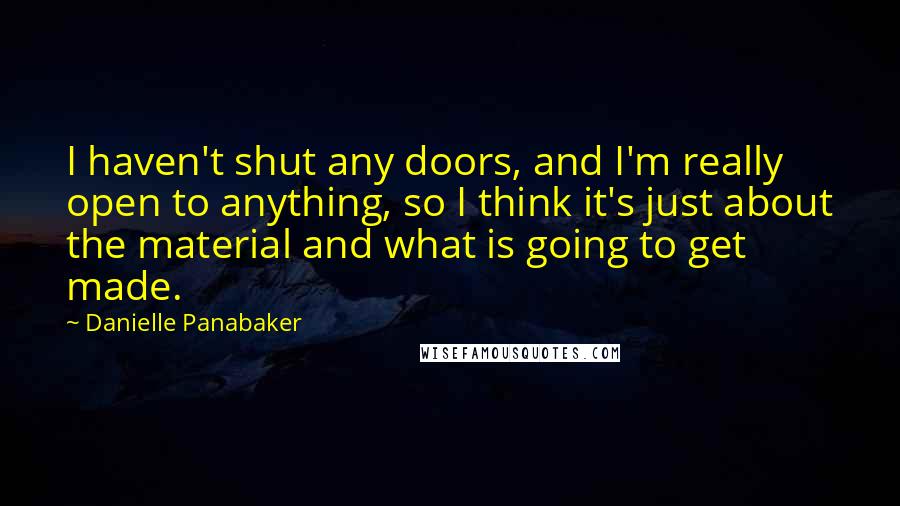 Danielle Panabaker quotes: I haven't shut any doors, and I'm really open to anything, so I think it's just about the material and what is going to get made.