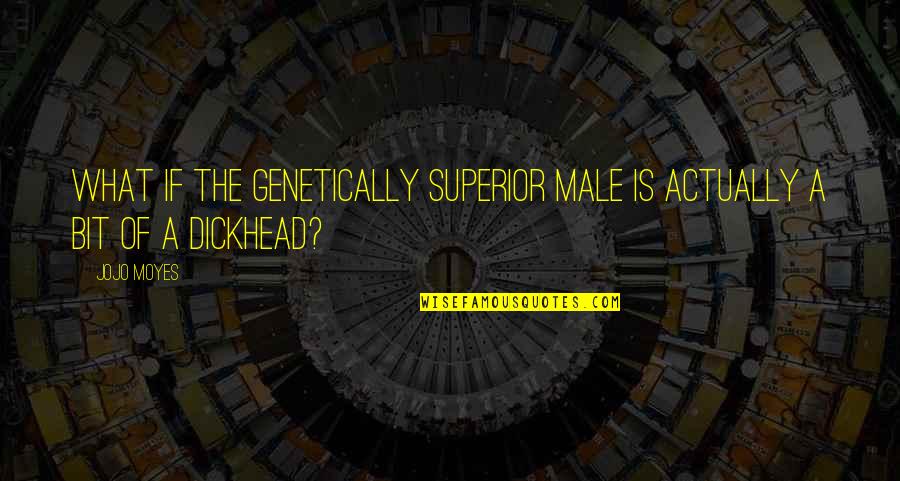 Danielle Strickland Quotes By Jojo Moyes: What if the genetically superior male is actually
