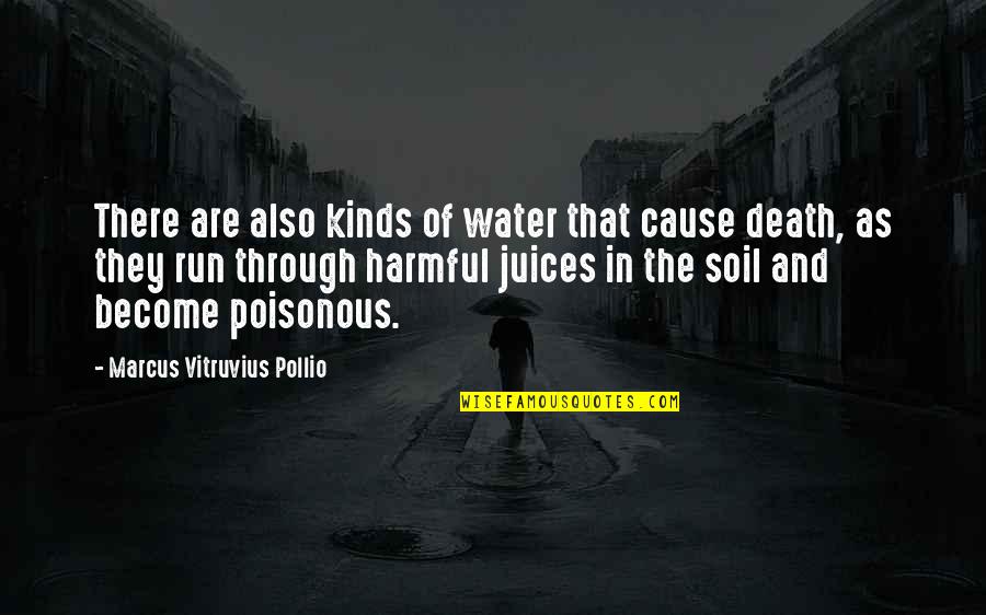 Danielovich Quotes By Marcus Vitruvius Pollio: There are also kinds of water that cause