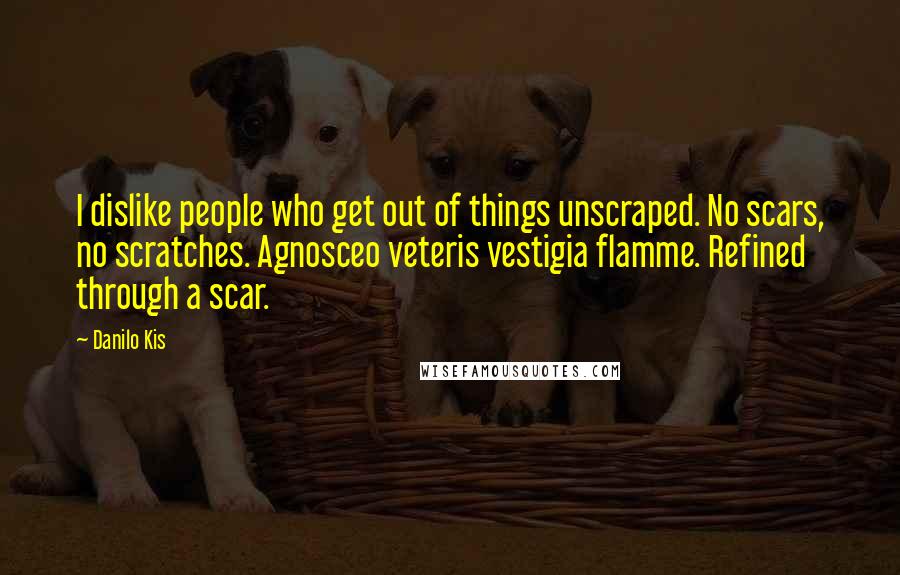 Danilo Kis quotes: I dislike people who get out of things unscraped. No scars, no scratches. Agnosceo veteris vestigia flamme. Refined through a scar.