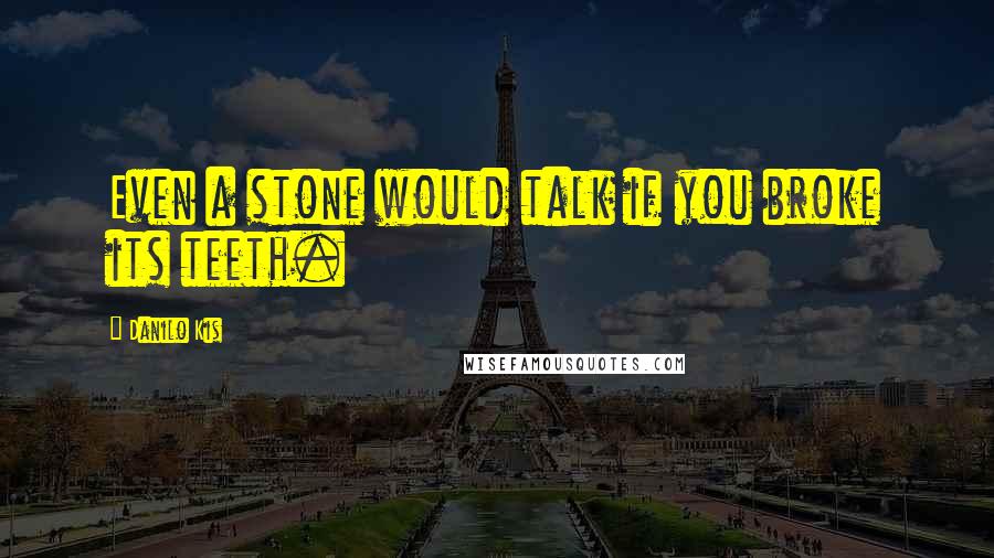 Danilo Kis quotes: Even a stone would talk if you broke its teeth.