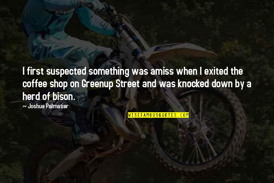 Daniluk Law Quotes By Joshua Palmatier: I first suspected something was amiss when I