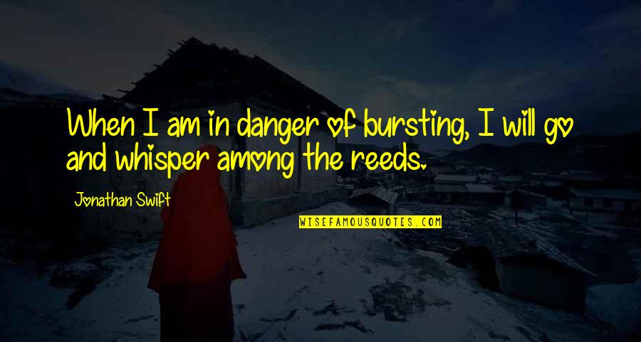 Danismanis Quotes By Jonathan Swift: When I am in danger of bursting, I