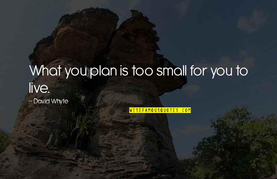 Danitra Spencer Quotes By David Whyte: What you plan is too small for you Danitra Spencer Quotes By David Whyte: What you plan is too small for you