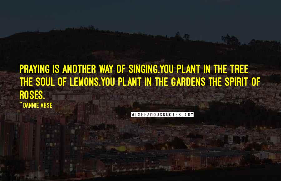 Dannie Abse quotes: Praying is another way of singing.You plant in the tree the soul of lemons.You plant in the gardens the spirit of roses.