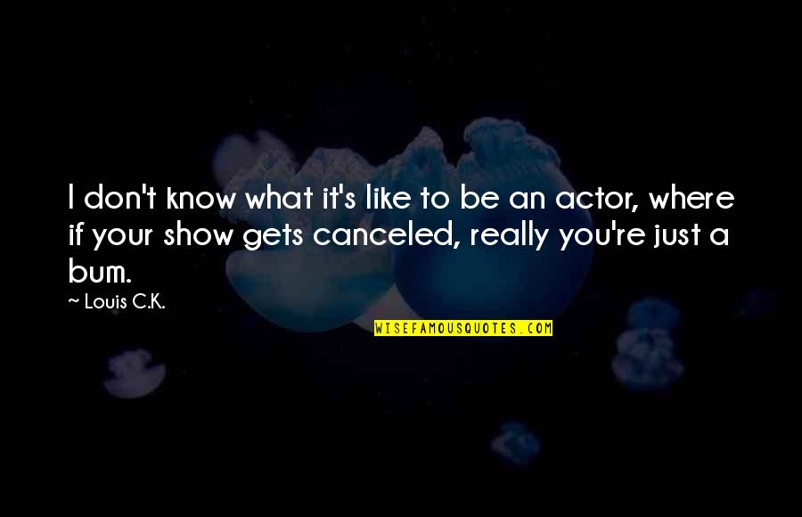 Dannika Meg Quotes By Louis C.K.: I don't know what it's like to be
