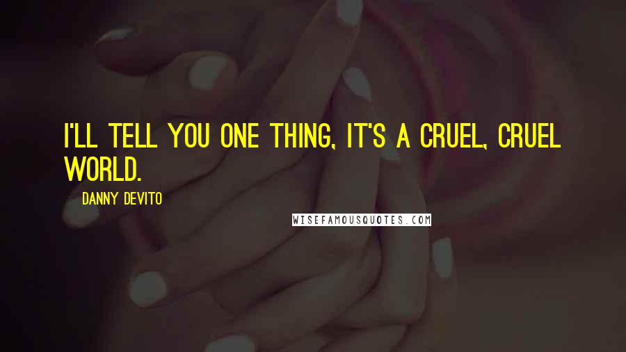 Danny DeVito quotes: I'll tell you one thing, it's a cruel, cruel world.