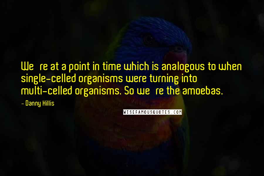 Danny Hillis quotes: We're at a point in time which is analogous to when single-celled organisms were turning into multi-celled organisms. So we're the amoebas.