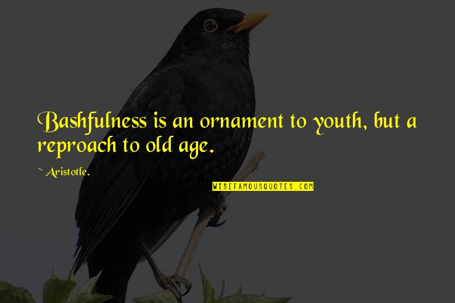 Danny Murillo Quotes By Aristotle.: Bashfulness is an ornament to youth, but a