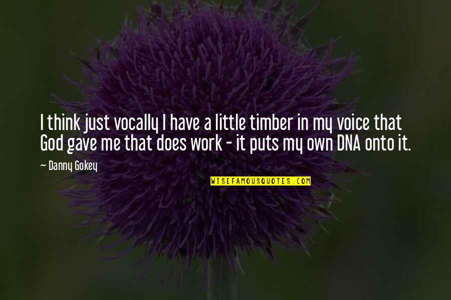 Danny Quotes By Danny Gokey: I think just vocally I have a little
