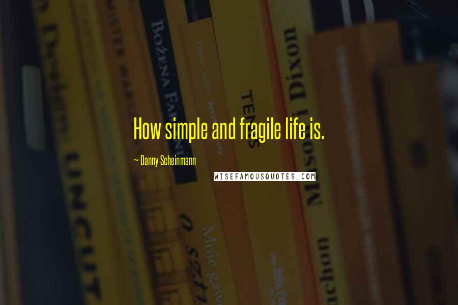 Danny Scheinmann quotes: How simple and fragile life is.