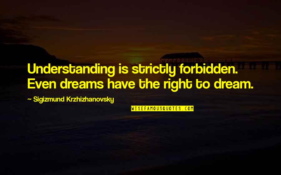 Danoff Fidelity Quotes By Sigizmund Krzhizhanovsky: Understanding is strictly forbidden. Even dreams have the