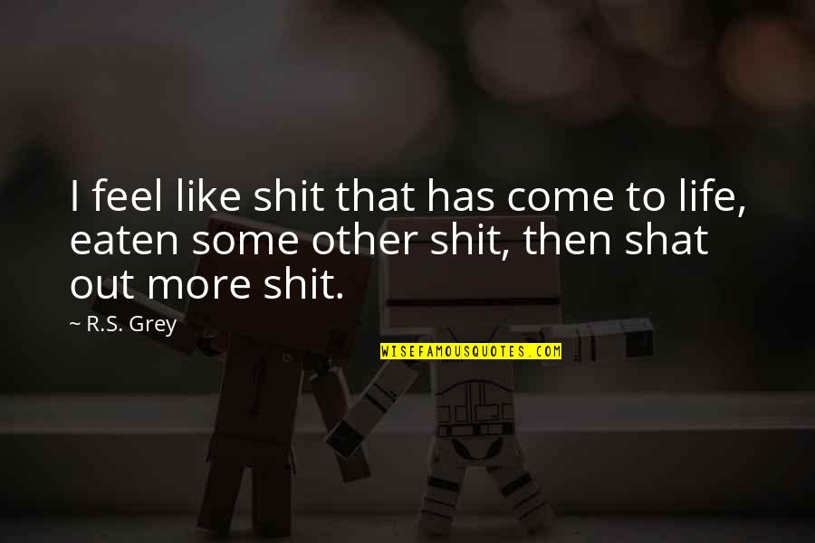Dantes Inferno Beginning Quote Quotes By R.S. Grey: I feel like shit that has come to