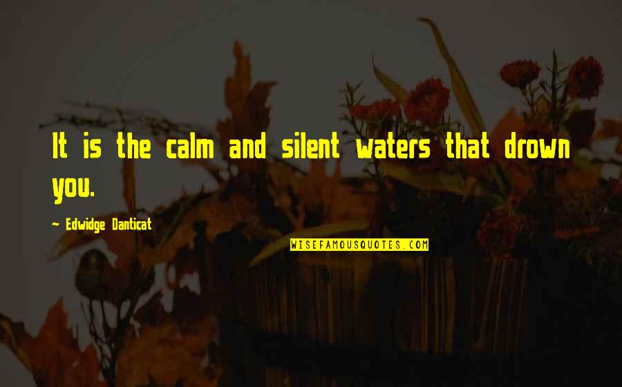 Danticat Quotes By Edwidge Danticat: It is the calm and silent waters that