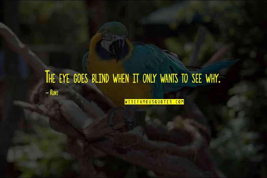 Dantier Fox Quotes By Rumi: The eye goes blind when it only wants