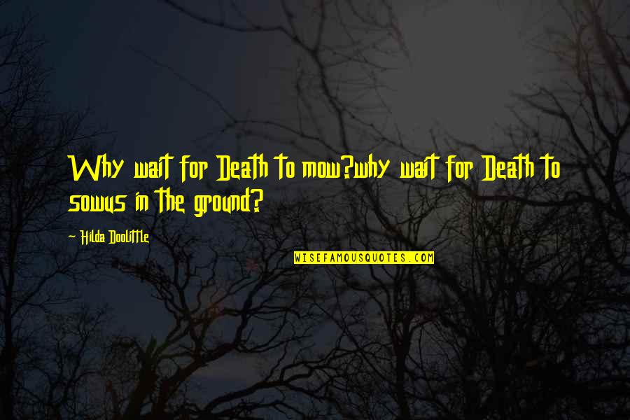 Danturfprono Quotes By Hilda Doolittle: Why wait for Death to mow?why wait for Danturfprono Quotes By Hilda Doolittle: Why wait for Death to mow?why wait for