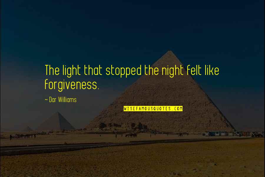 Dar Quotes By Dar Williams: The light that stopped the night felt like