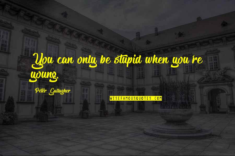 Daragoldfitz Quotes By Peter Gallagher: You can only be stupid when you're young. Daragoldfitz Quotes By Peter Gallagher: You can only be stupid when you're young.