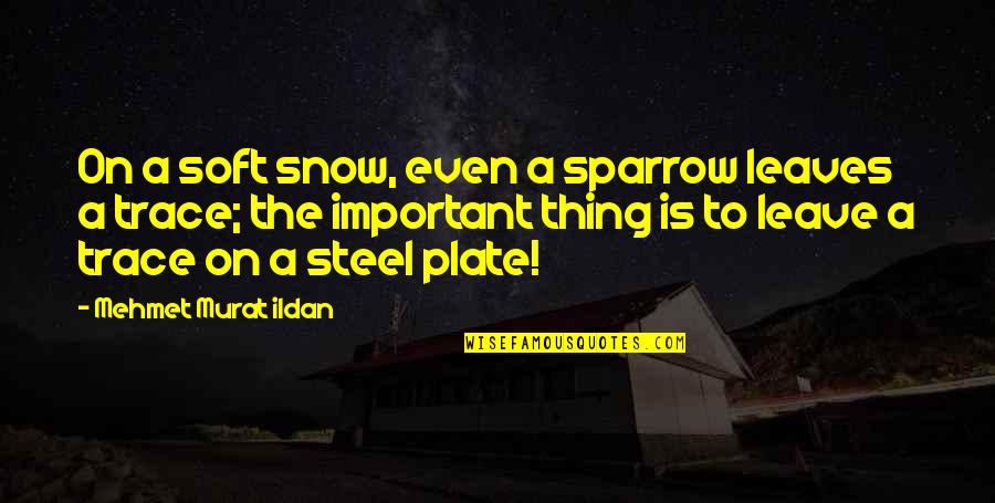 Darahku Biru Quotes By Mehmet Murat Ildan: On a soft snow, even a sparrow leaves Darahku Biru Quotes By Mehmet Murat Ildan: On a soft snow, even a sparrow leaves