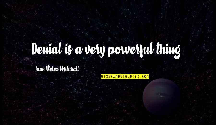 Darak Sa Recept Quotes By Jane Velez-Mitchell: Denial is a very powerful thing.