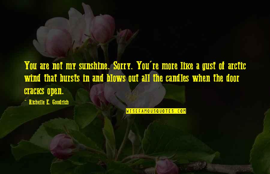 Darbouze Family Tree Quotes By Richelle E. Goodrich: You are not my sunshine. Sorry. You're more Darbouze Family Tree Quotes By Richelle E. Goodrich: You are not my sunshine. Sorry. You're more