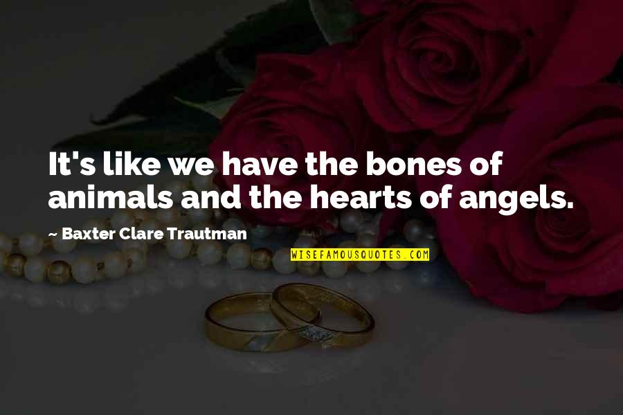 Dardanelles Pronunciation Quotes By Baxter Clare Trautman: It's like we have the bones of animals Dardanelles Pronunciation Quotes By Baxter Clare Trautman: It's like we have the bones of animals