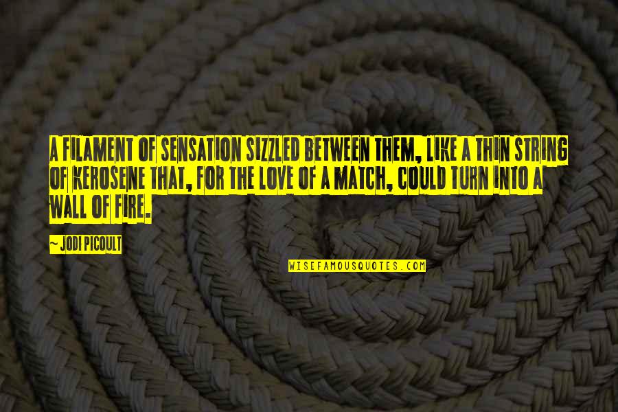 Dardick Tround Quotes By Jodi Picoult: A filament of sensation sizzled between them, like