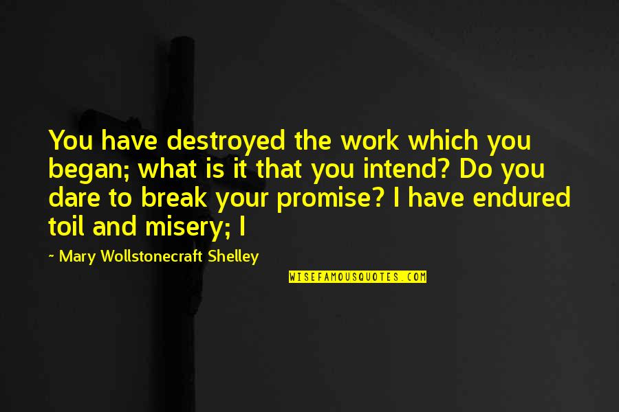 Dare You To Quotes By Mary Wollstonecraft Shelley: You have destroyed the work which you began;