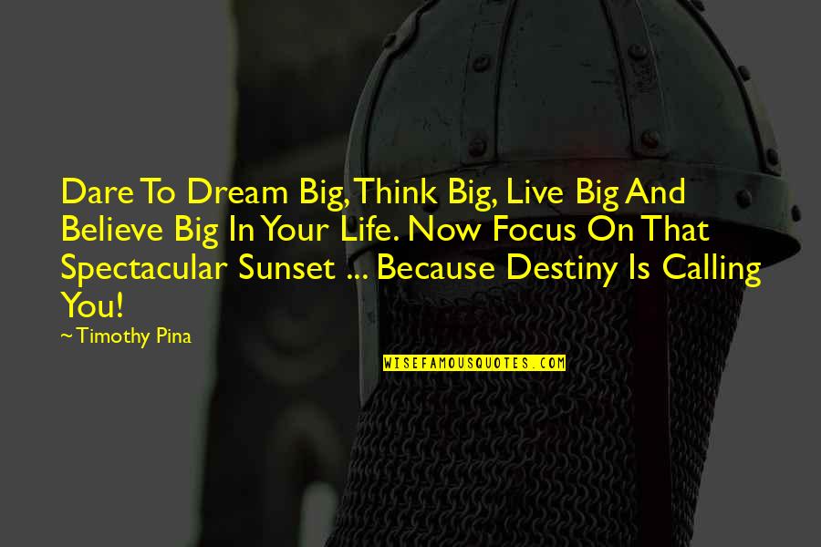 Dare You To Quotes By Timothy Pina: Dare To Dream Big, Think Big, Live Big