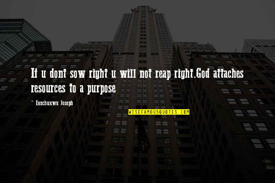 Darestani Quotes By Ikechukwu Joseph: If u dont sow right u will not