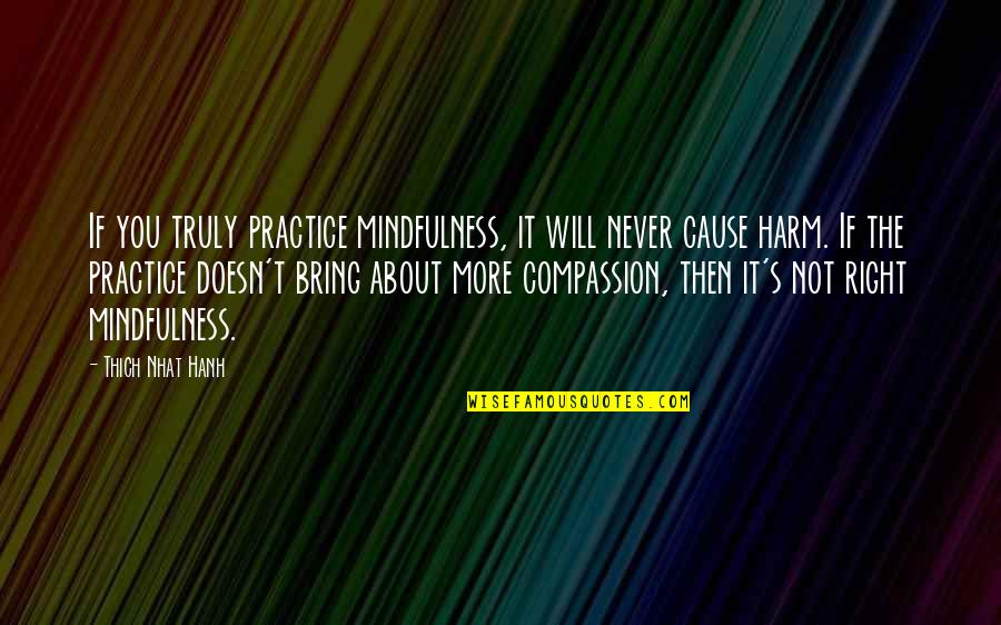 Darfur Genocide Survivor Quotes By Thich Nhat Hanh: If you truly practice mindfulness, it will never