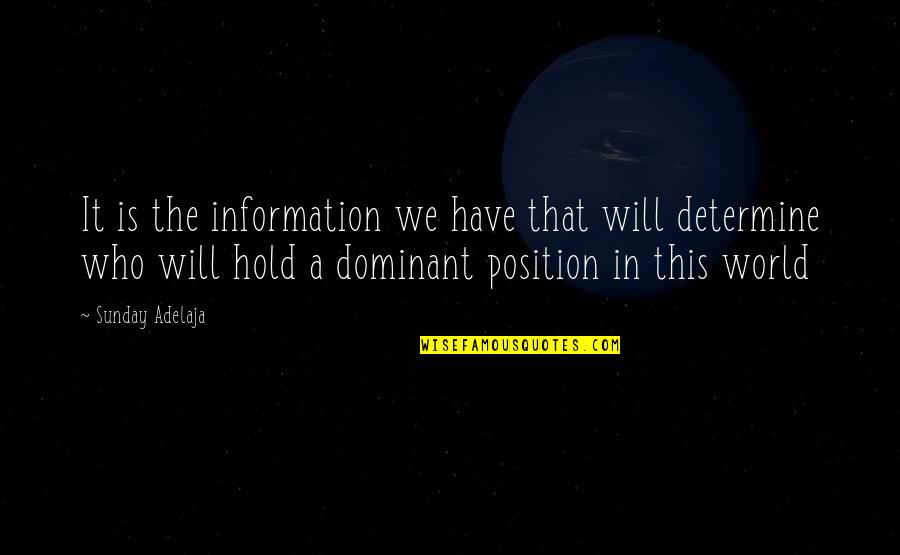 Dariush Shayegan Quotes By Sunday Adelaja: It is the information we have that will