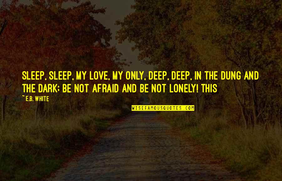 Dark And Deep Quotes By E.B. White: Sleep, sleep, my love, my only, Deep, deep,