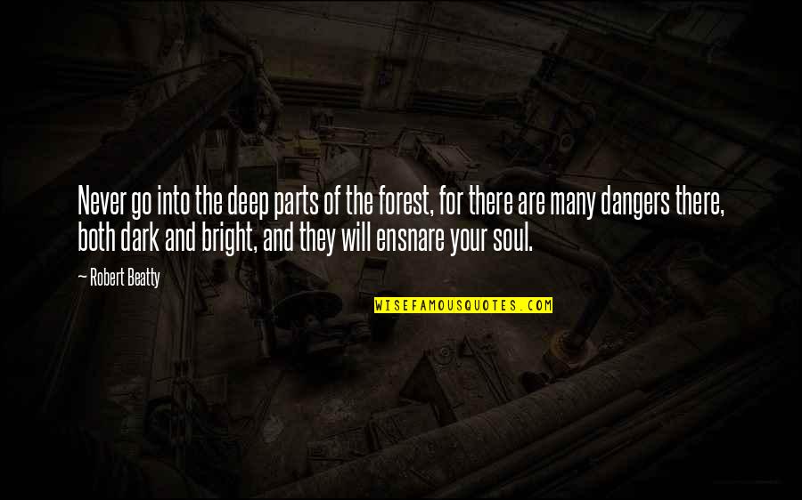 Dark And Deep Quotes By Robert Beatty: Never go into the deep parts of the