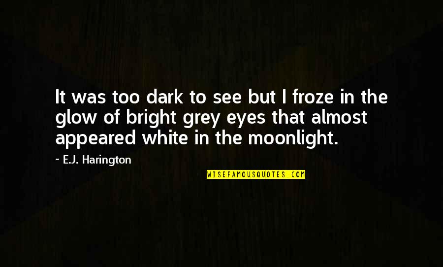 Dark And Light Love Quotes By E.J. Harington: It was too dark to see but I