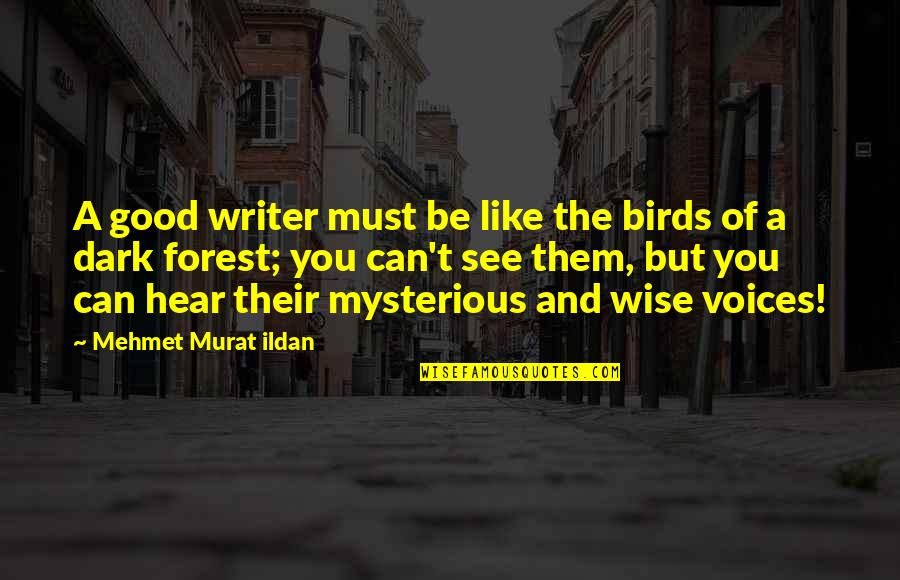 Dark And Mysterious Quotes By Mehmet Murat Ildan: A good writer must be like the birds