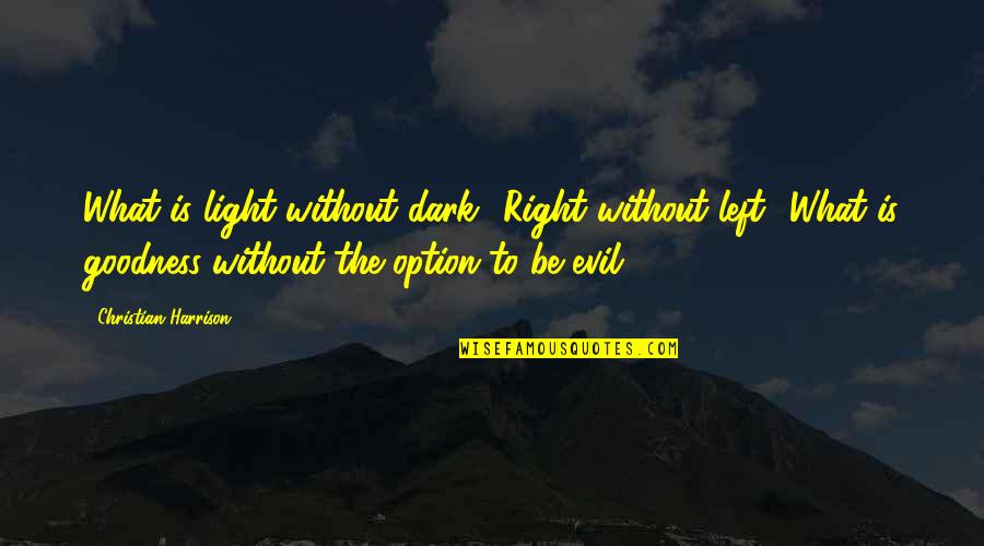 Dark Evil Quotes By Christian Harrison: What is light without dark? Right without left? Dark Evil Quotes By Christian Harrison: What is light without dark? Right without left?