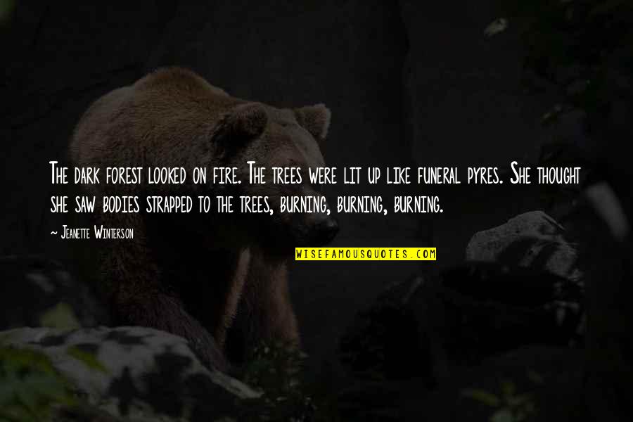 Dark Fire Quotes By Jeanette Winterson: The dark forest looked on fire. The trees Dark Fire Quotes By Jeanette Winterson: The dark forest looked on fire. The trees