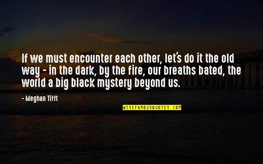 Dark Fire Quotes By Meghan Tifft: If we must encounter each other, let's do Dark Fire Quotes By Meghan Tifft: If we must encounter each other, let's do