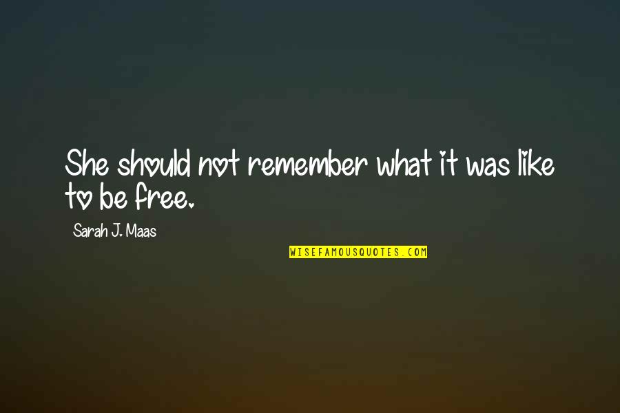 Dark Fire Quotes By Sarah J. Maas: She should not remember what it was like Dark Fire Quotes By Sarah J. Maas: She should not remember what it was like