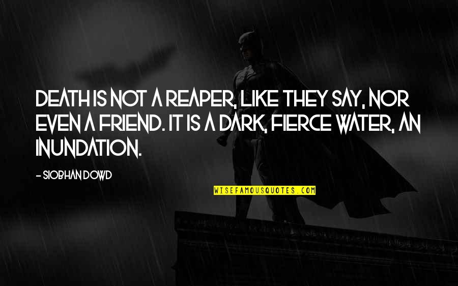 Dark Friend Quotes By Siobhan Dowd: Death is not a reaper, like they say,
