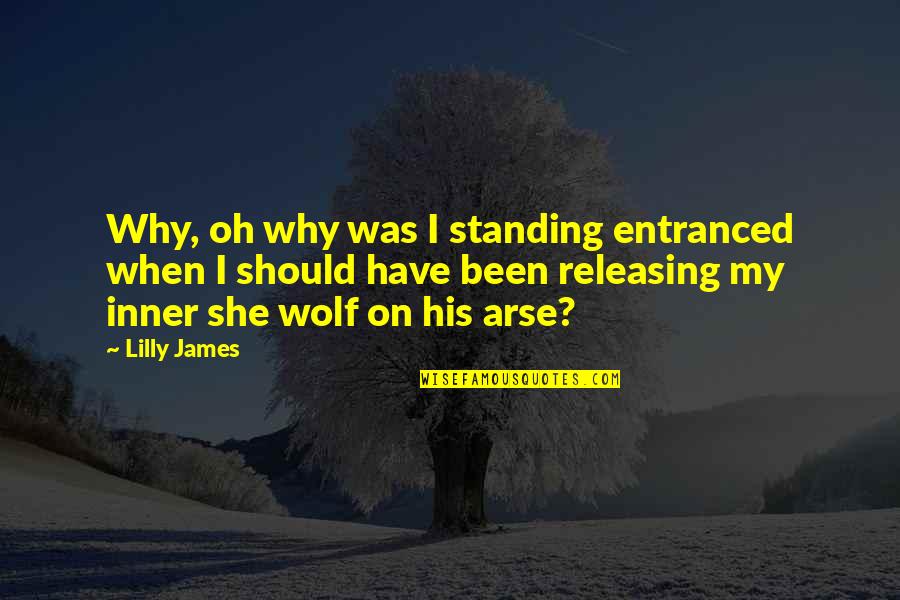 Dark Humorous Quotes By Lilly James: Why, oh why was I standing entranced when