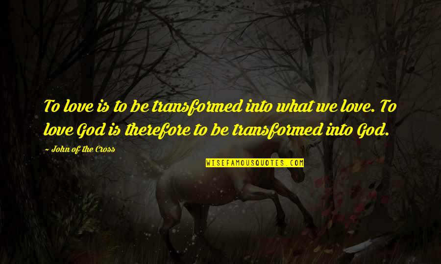 Dark Hunter Series Quotes By John Of The Cross: To love is to be transformed into what Dark Hunter Series Quotes By John Of The Cross: To love is to be transformed into what