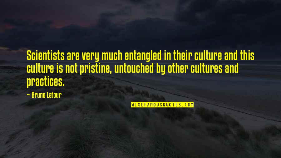 Dark Inside Book Quotes By Bruno Latour: Scientists are very much entangled in their culture