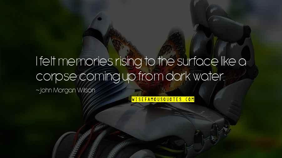 Dark Is Rising Quotes By John Morgan Wilson: I felt memories rising to the surface like Dark Is Rising Quotes By John Morgan Wilson: I felt memories rising to the surface like