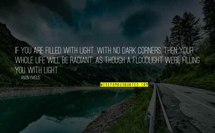 Dark Light Life Quotes By Anonymous: If you are filled with light, with no