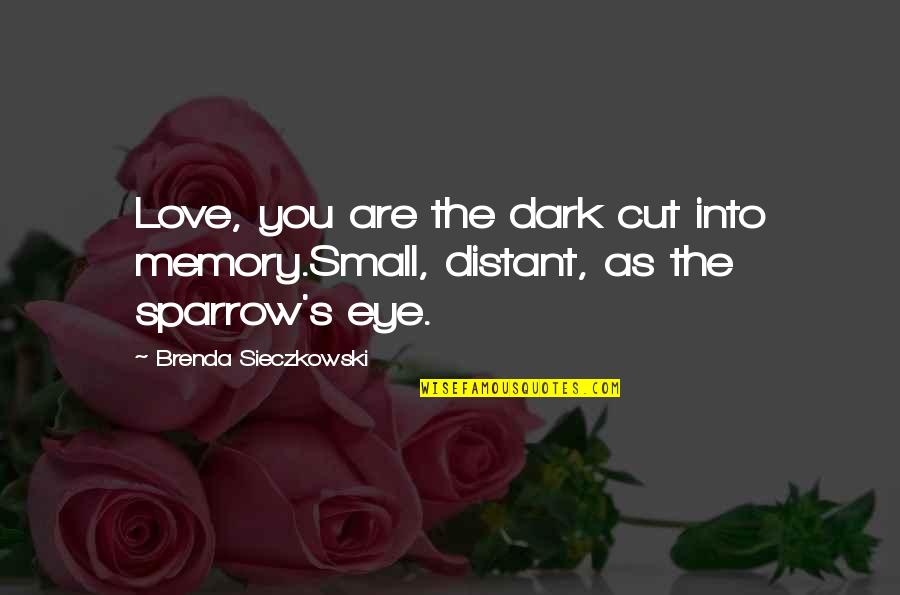 Dark Love Quotes By Brenda Sieczkowski: Love, you are the dark cut into memory.Small,