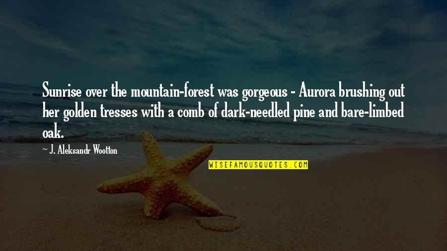 Dark Mountain Quotes By J. Aleksandr Wootton: Sunrise over the mountain-forest was gorgeous - Aurora Dark Mountain Quotes By J. Aleksandr Wootton: Sunrise over the mountain-forest was gorgeous - Aurora